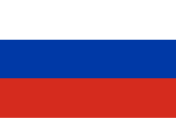 Translation Services Irving